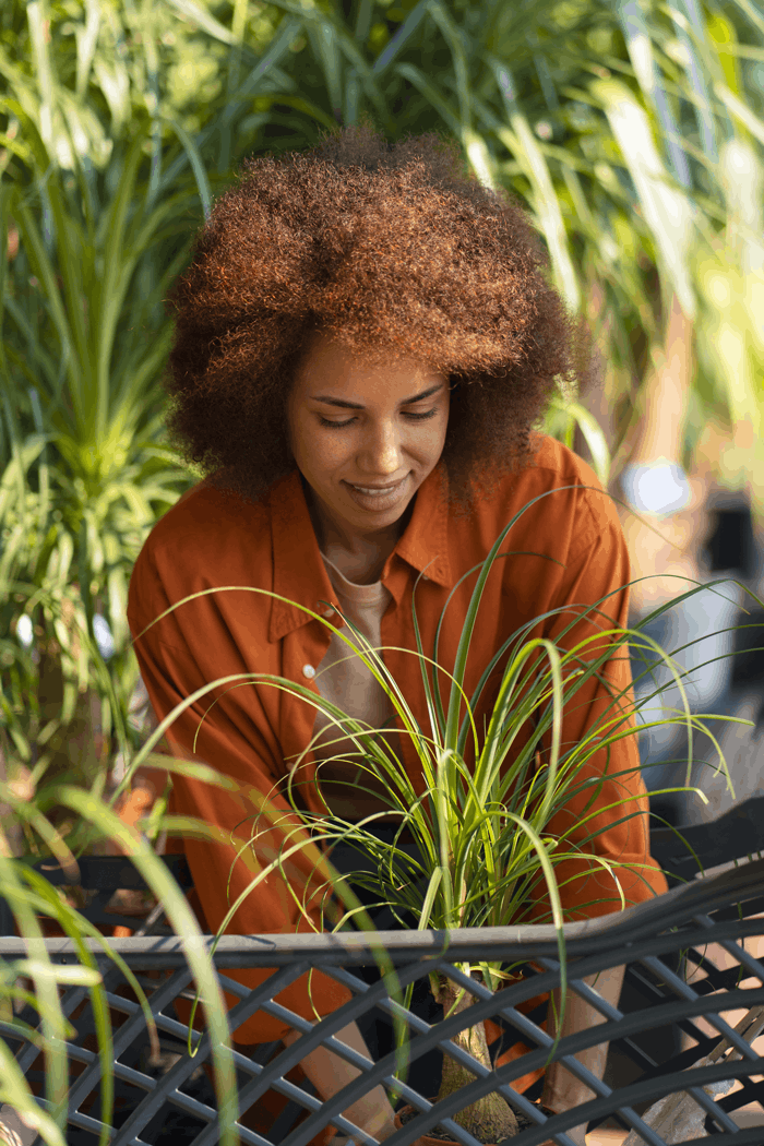 Atelier jardinage écologique et durable Réunion